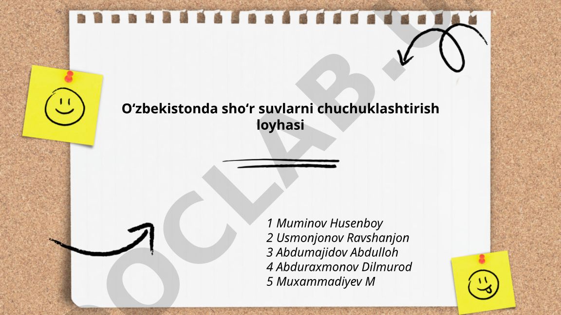 Oʻzbekistonda shoʻr suvlarni chuchuklashtirish loyihasi