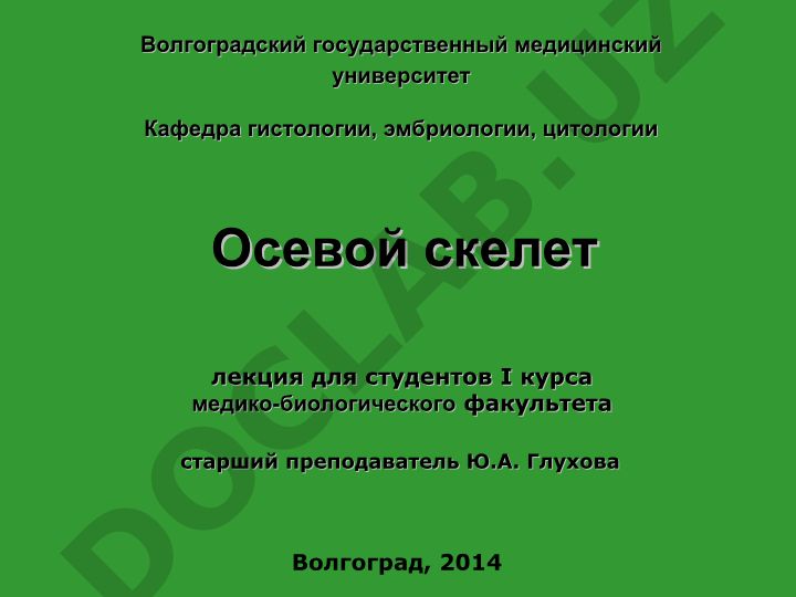 Осевой скелет: череп, позвоночный столб и грудная клетка