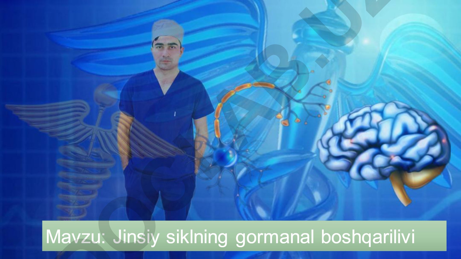 Jinsiy siklning gormonal boshqarilishi
