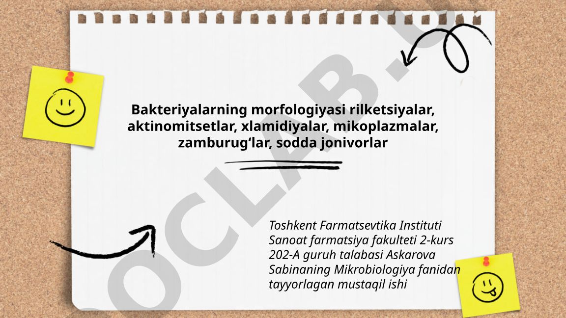 Bakteriyalarning morfologiyasi va mikroorganizmlar turlari