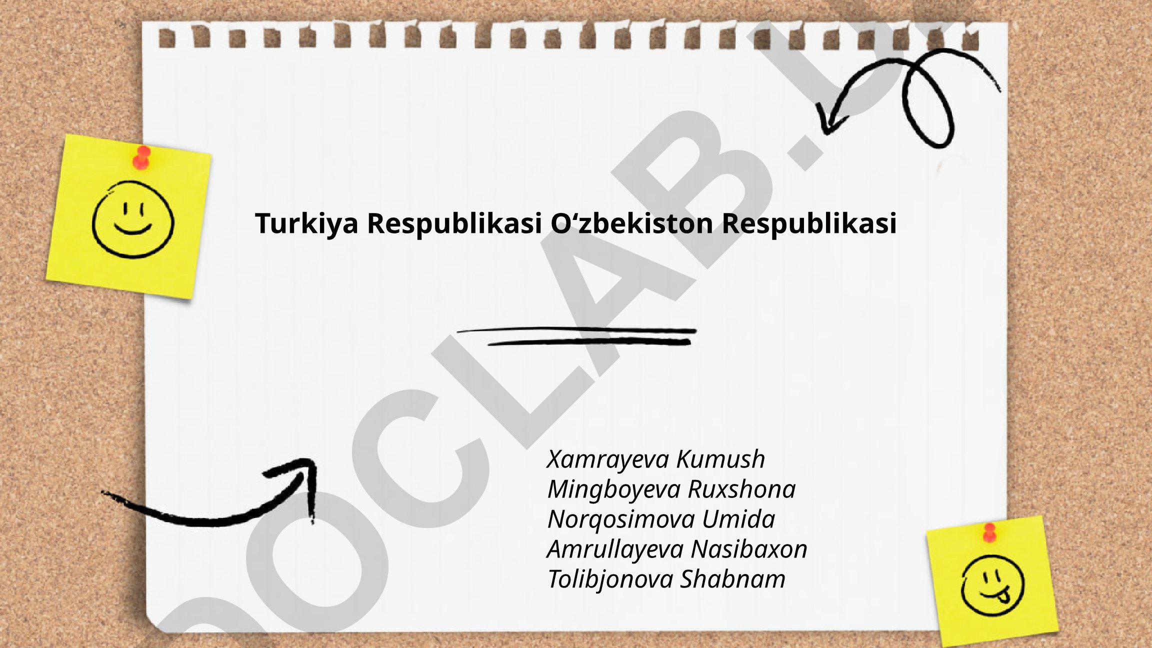 Turkiya va Oʻzbekiston oʻrtasidagi diplomatik munosabatlar va iqtisodiy hamkorlik