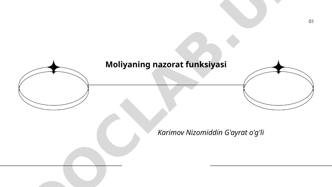 Moliyaning nazorat funksiyasi