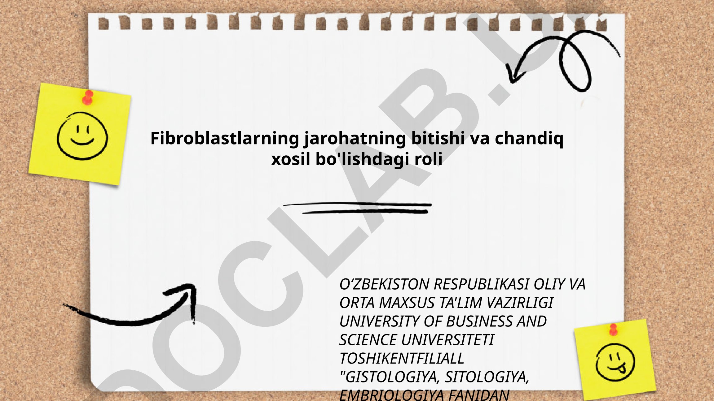 Fibroblastlarning jarohatning bitishi va chandiq xosil bo'lishdagi roli