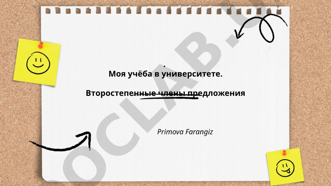 Второстепенные члены предложения в повествованиях об учёбе в университете