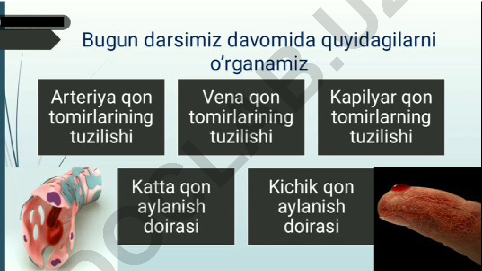 Raqamli iqtisodiyotning asosiy tushunchalari va rivojlanish tendensiyalari