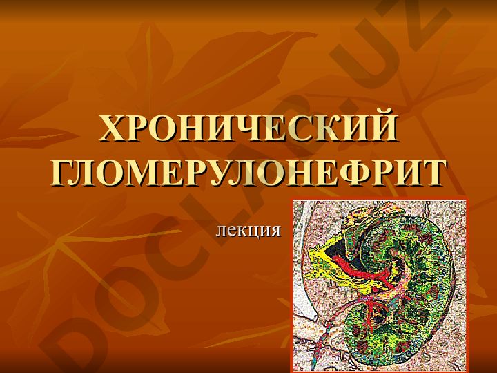 Хронический гломерулонефрит: лекция по классификации и морфологии