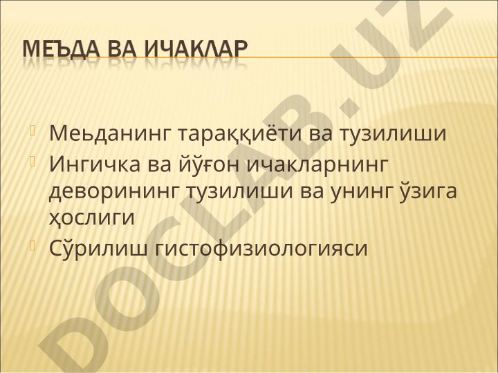 Меьданинг тараққиёти ва тузилиши