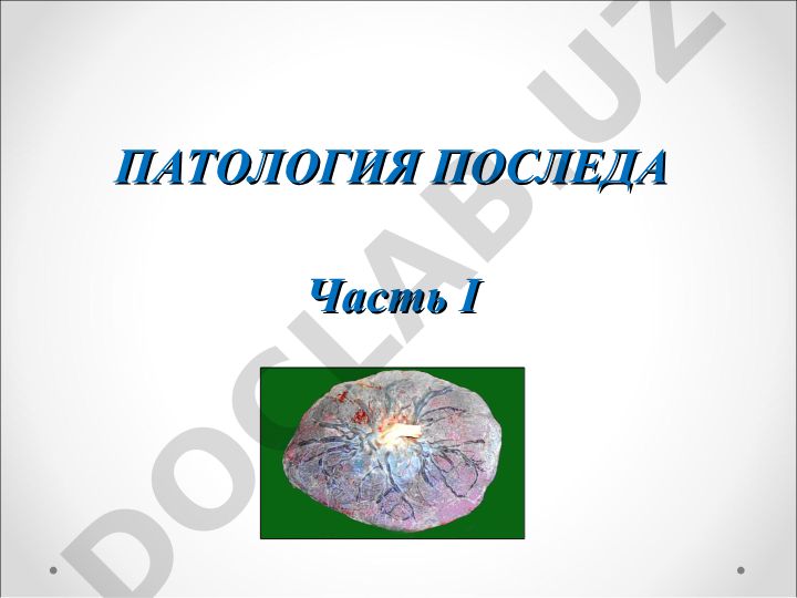 Патология последа: строение, функции и периоды развития плаценты