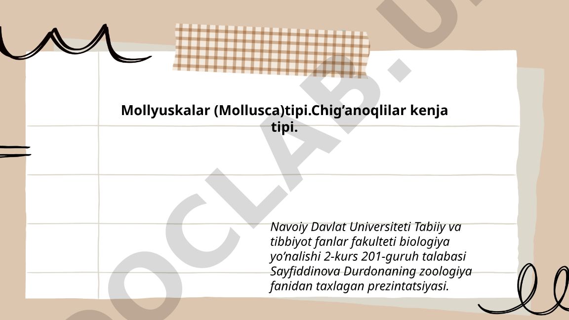 Mollyuskalar (Mollusca) tipi va Chig'anoqlilar kenja tipi