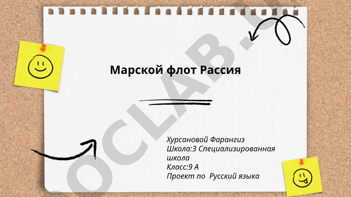 История и организационная структура Военно-морского флота России