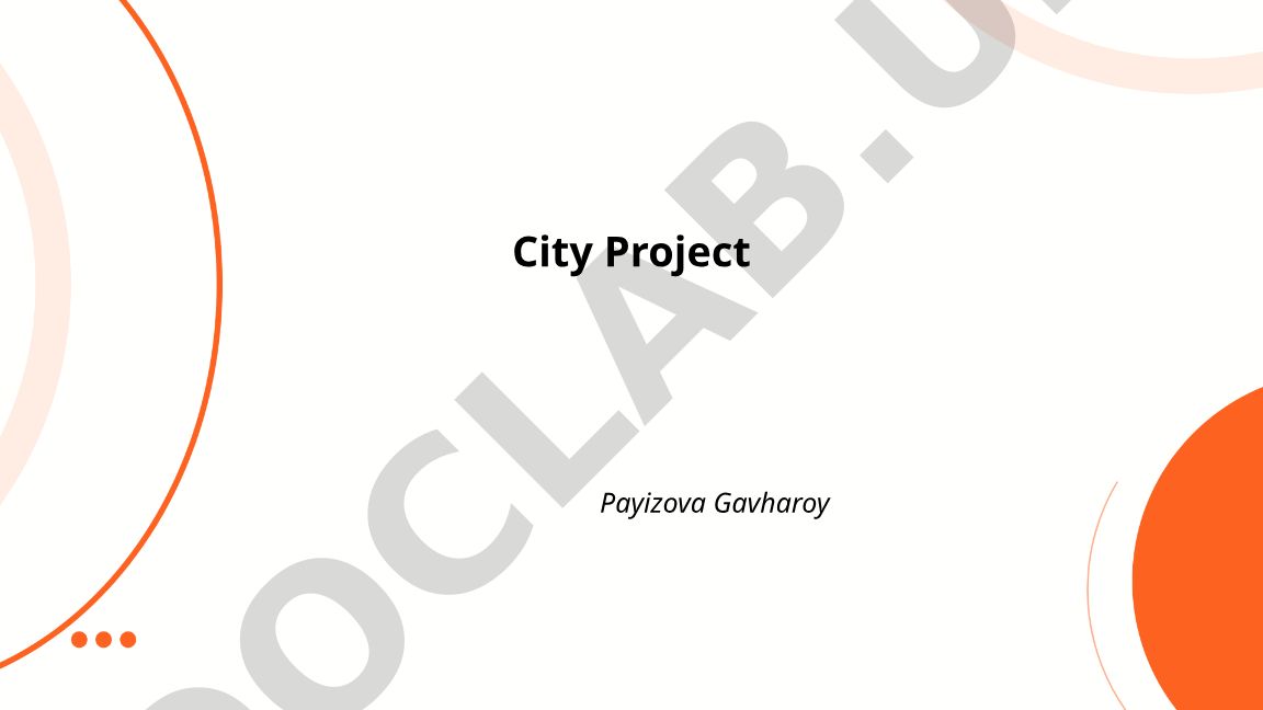 City Project Payizova Gavharoy master planning and zoning
