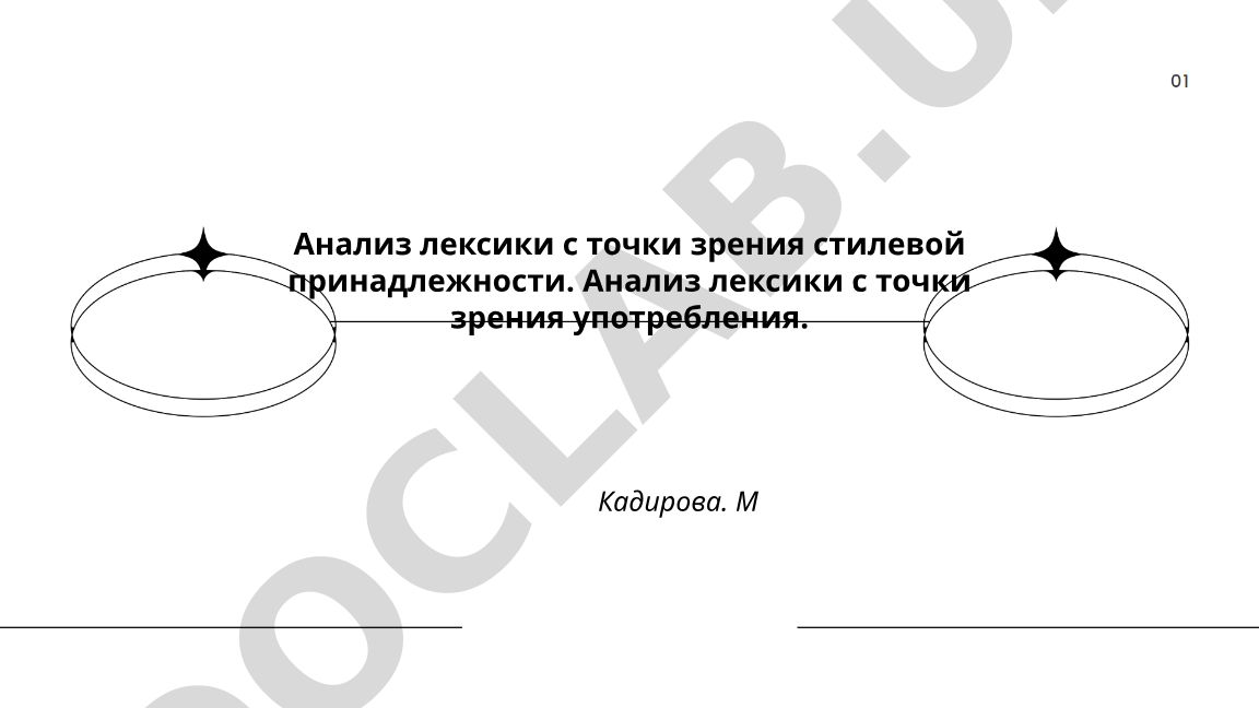 Анализ лексики с точки зрения стилевой принадлежности и употребления