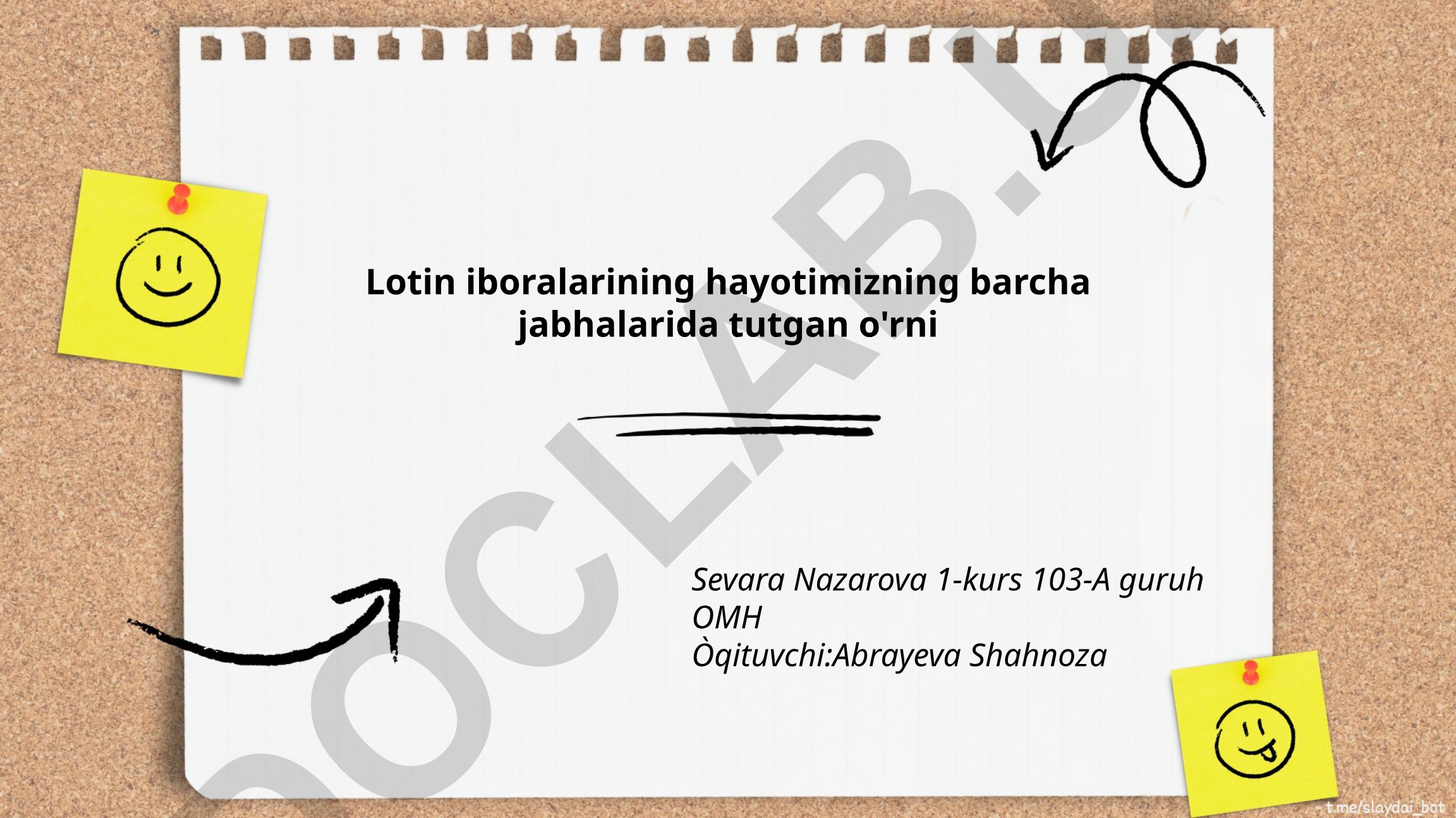 Lotin iboralarining hayotimizning barcha jabhalarida tutgan o'rni