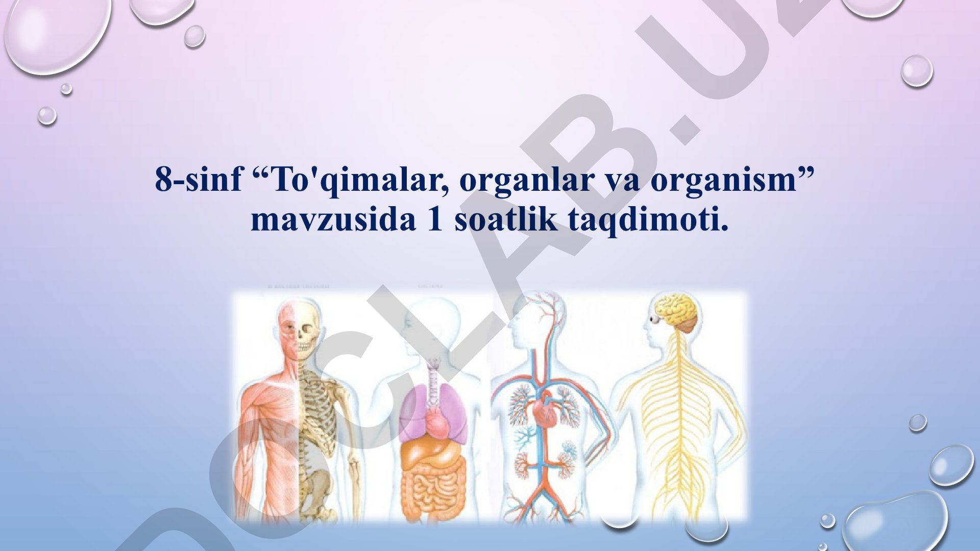 To'qimalar, organlar va organism