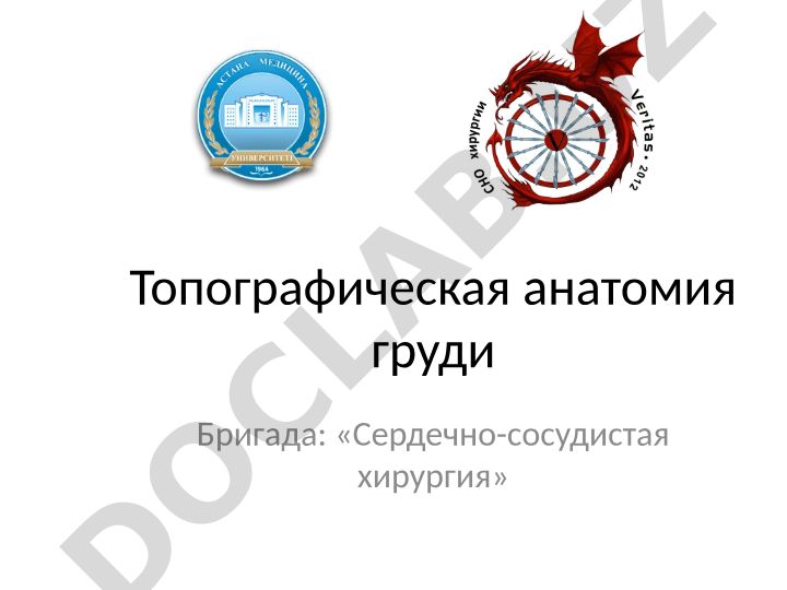 Топографическая анатомия груди и грудной клетки