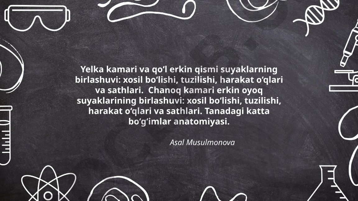 Yelka kamari va qo‘l erkin qismi suyaklarining birlashuvi va anatomiyasi