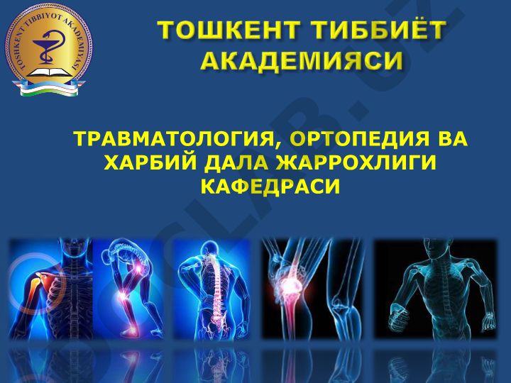 Сегментар бўйича иннервацияси ва умуртқа жароҳатлари