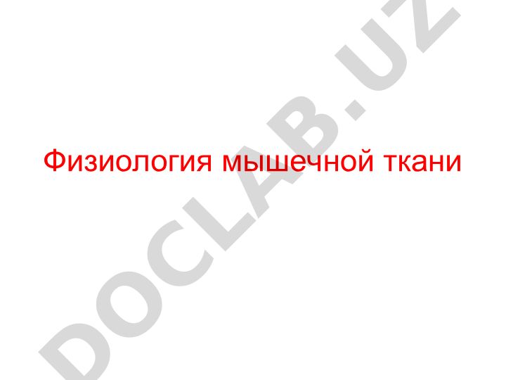 Физиология мышечной ткани: свойства, функции и классификация