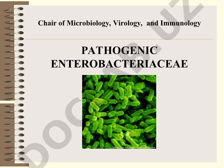 Pathogenic Enterobacteriaceae: Classification and Antigens