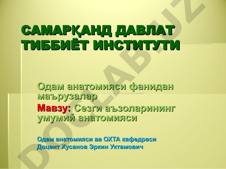 Сезги аъзоларининг умумий анатомияси