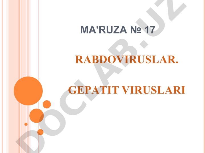 Rabdoviruslar va gepatit viruslari