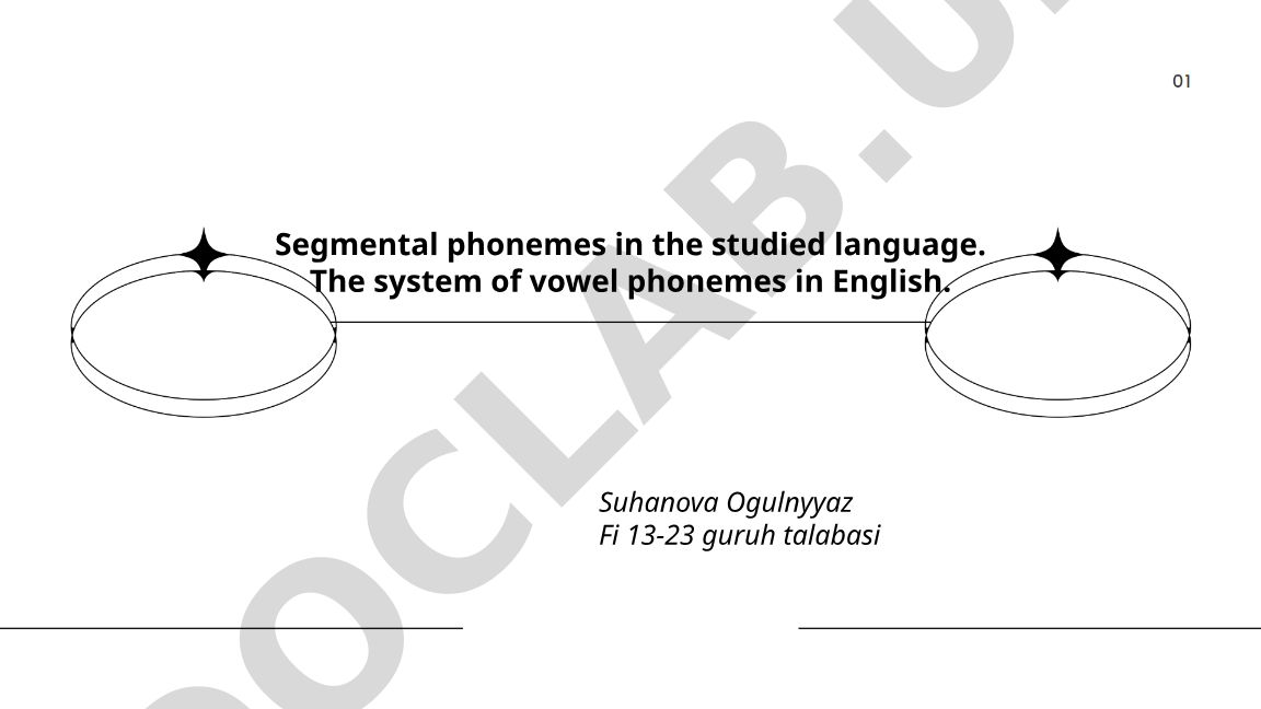 Segmental phonemes and vowel system in English