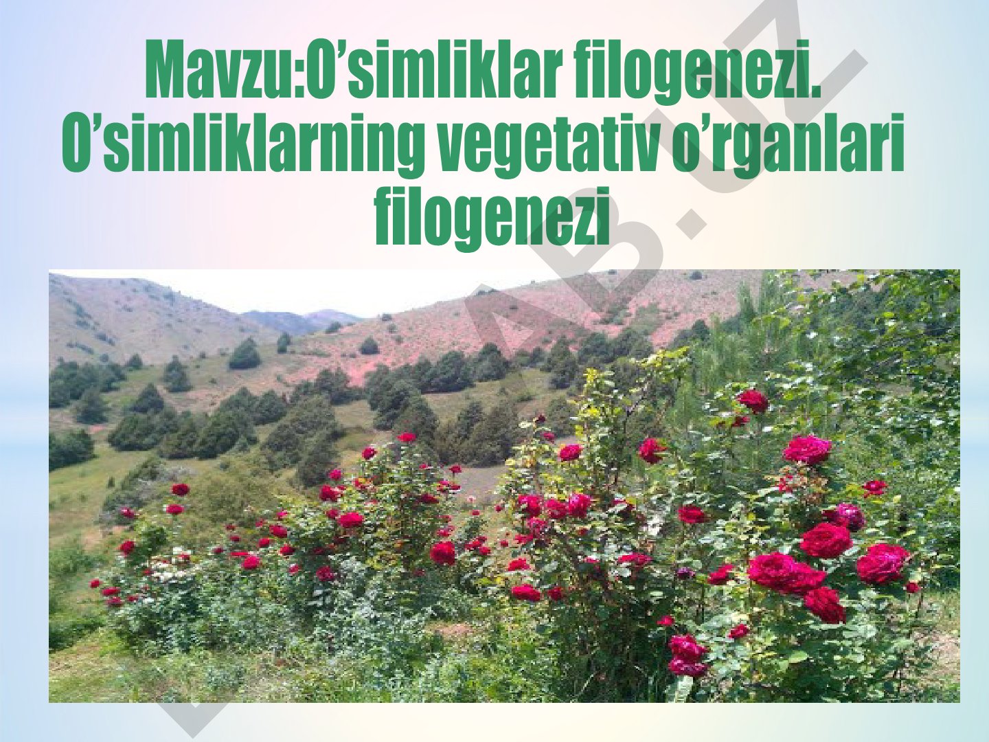 O’simliklar filogenezi va vegetativ organlarning takomillashuvi