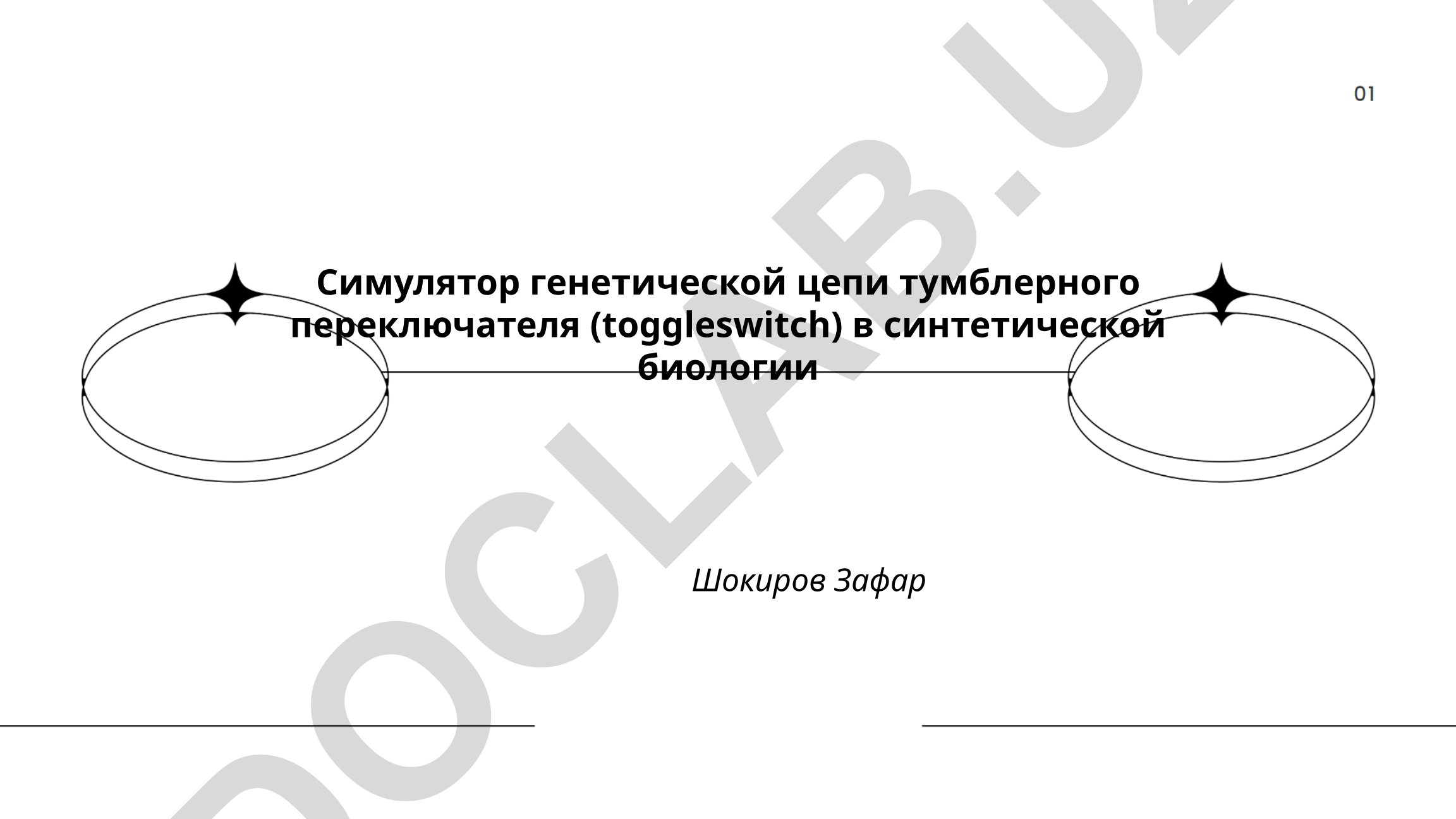 Симулятор генетической цепи тумблерного переключателя в синтетической биологии