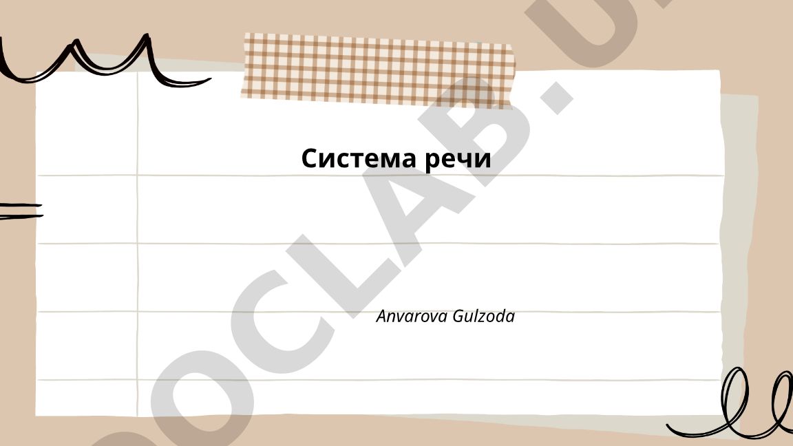 Система речи: фонетическая, фонологическая и лексическая подсистемы