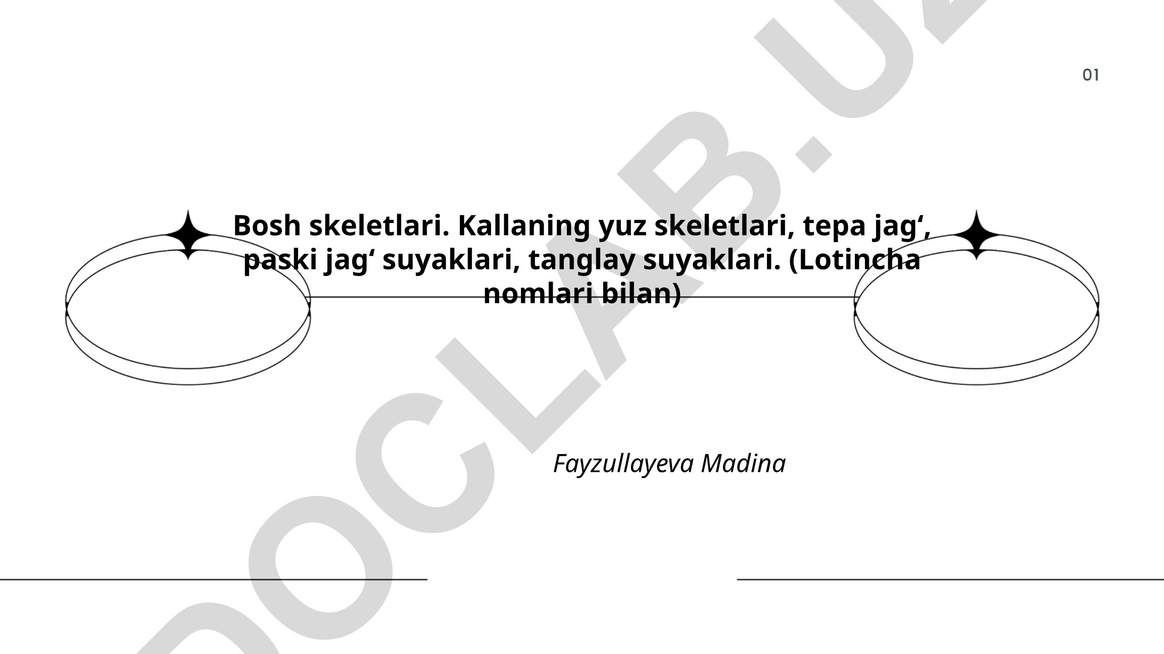 Bosh skeletlari: yuz skeletlari, jag' va tanglay suyaklari