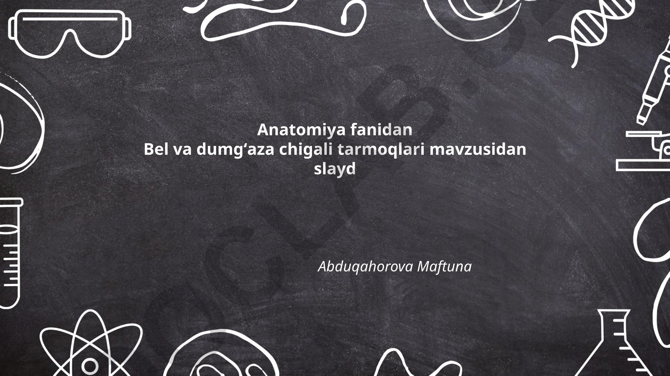 Bel va dumgʻaza chigali tarmoqlari tuzilishi va funksiyalari