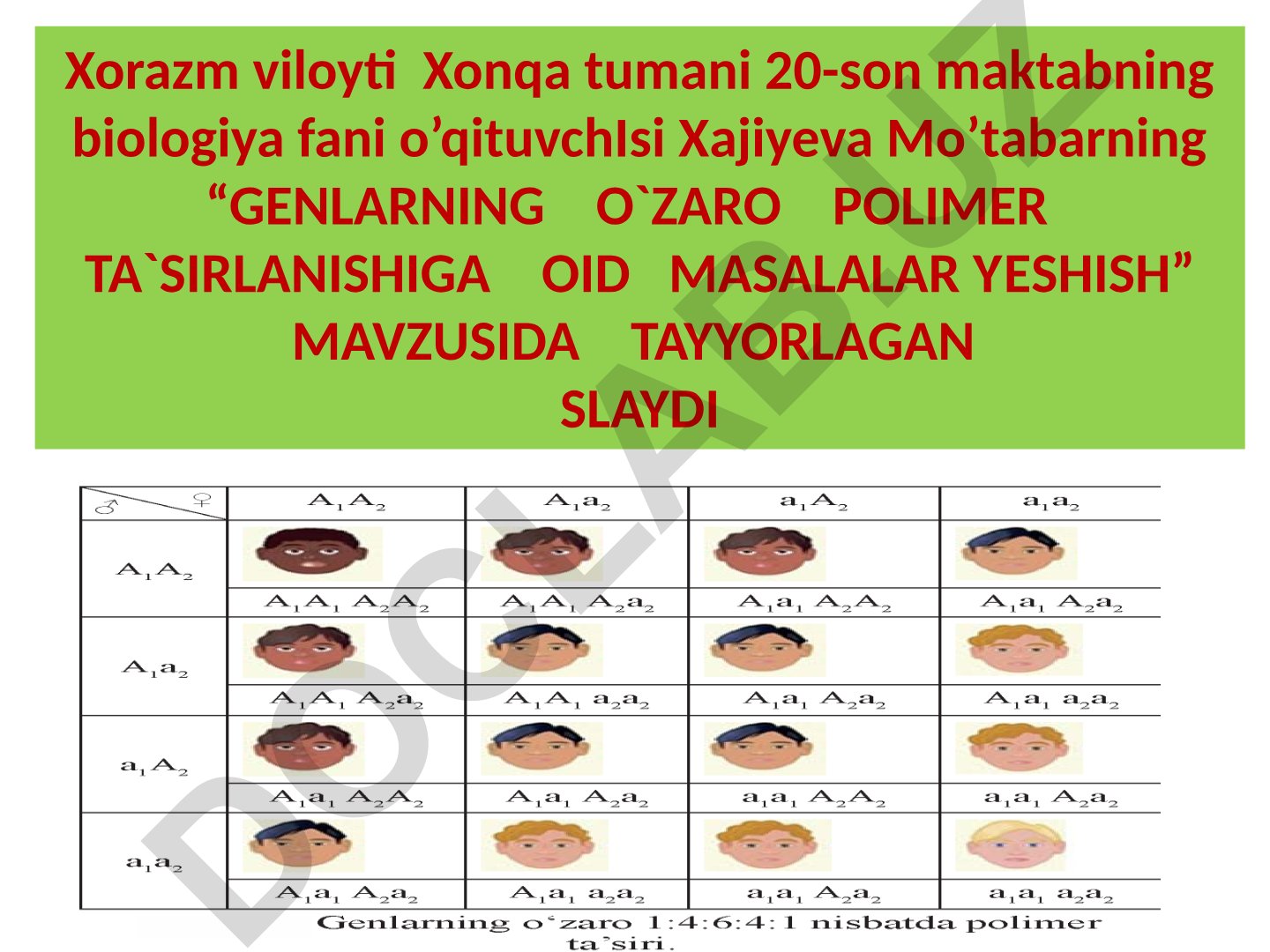 Genlarning o'zaro polimer ta'sirlanishiga oid masalalar yechish
