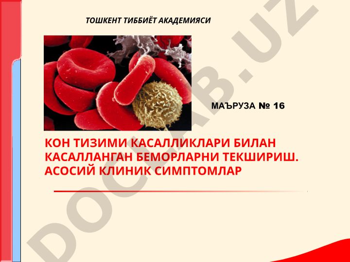 Кон тизими касалликлари билан касалланган беморларни текшириш