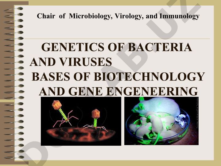 Genetics of Bacteria and Viruses: Bases of Biotechnology and Gene Engineering