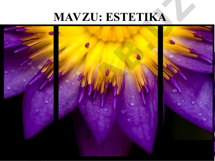 Dunyoni estetik idrok etishning mohiyati, Estetik tarbiya va Estetika va san’at