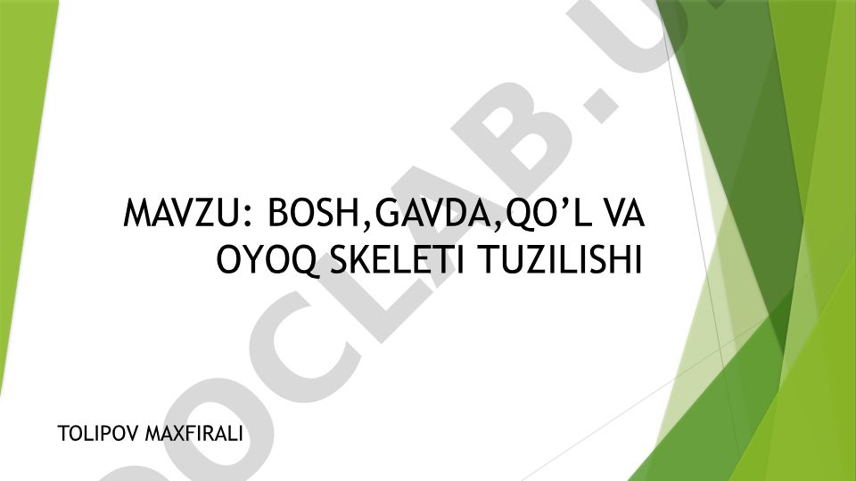 Bosh, Gavda, Qo'l va Oyoq Skeleti Tuzilishi
