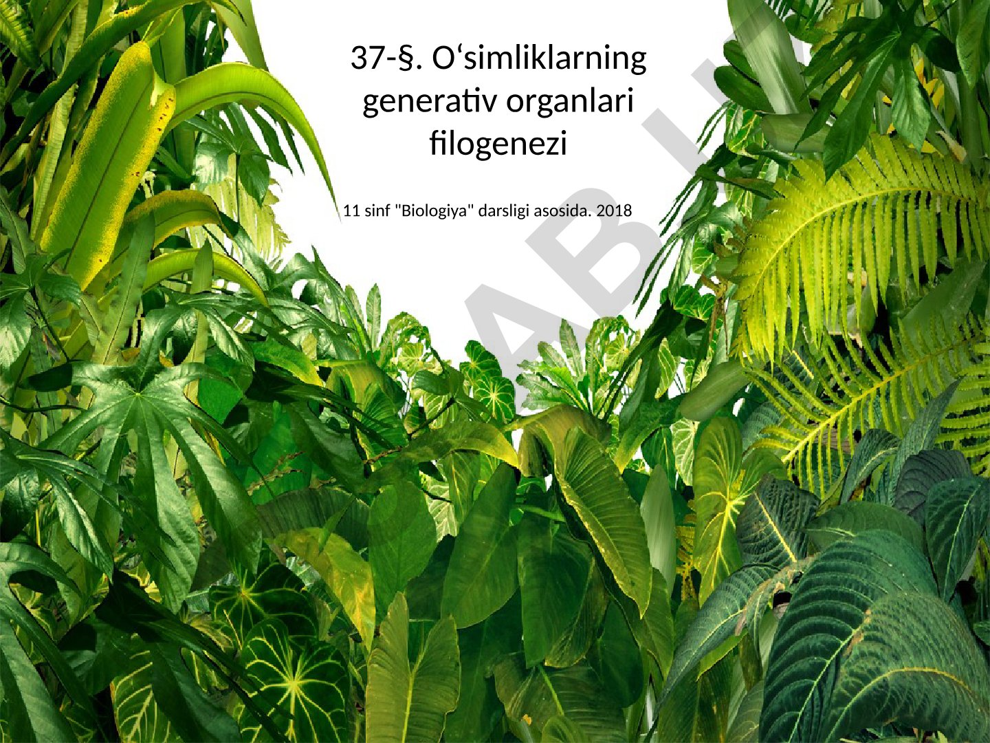 O'simliklarning generativ organlari filogenezi
