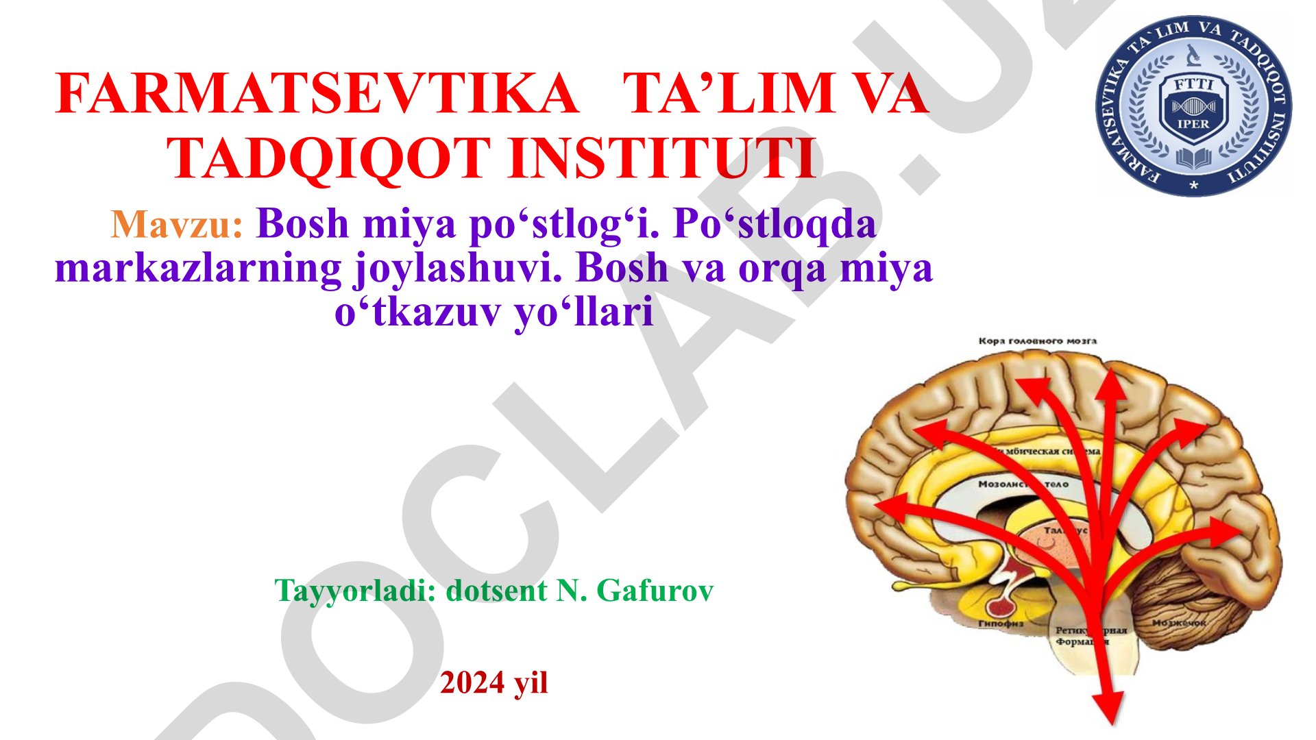 Bosh miya po‘stlog‘i. Po‘stloqda markazlarning joylashuvi. Bosh va orqa miya o‘tkazuv yo‘llari