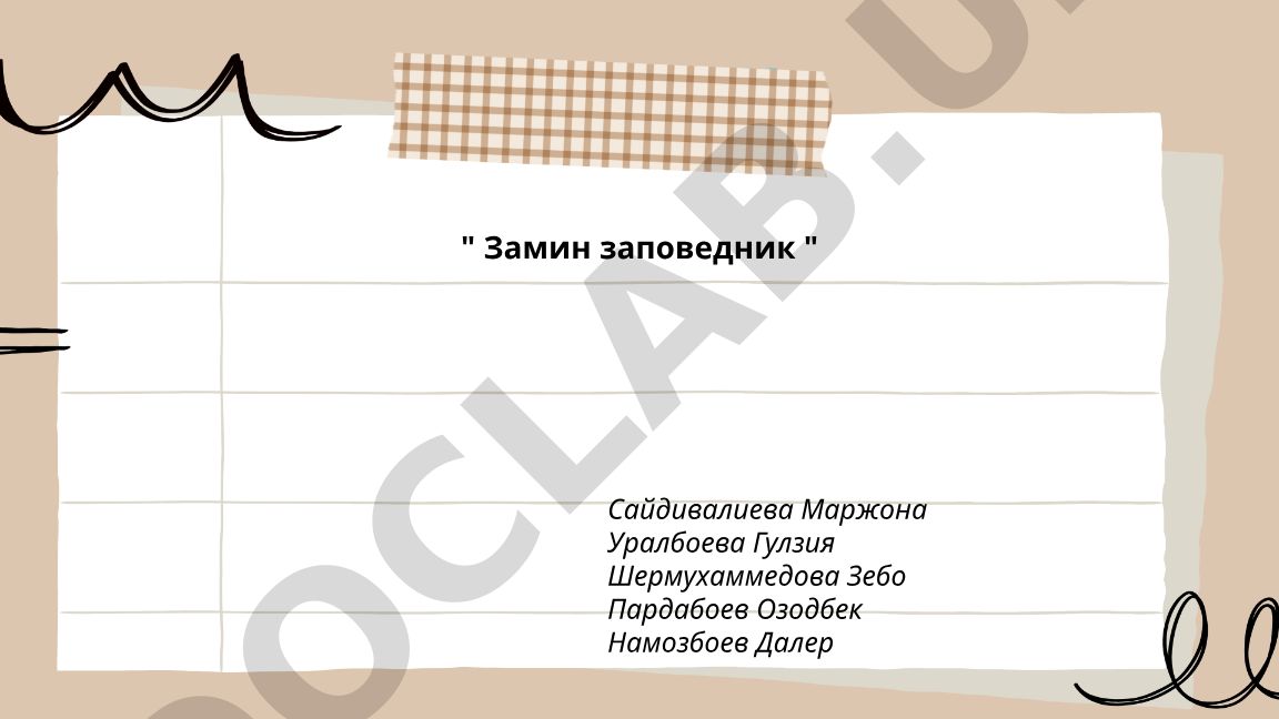 Заповедник «Замин»: общая характеристика, история создания и геология
