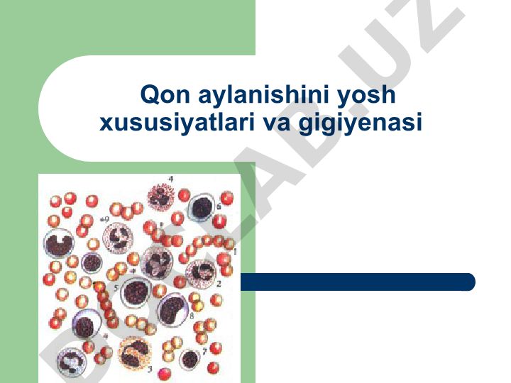 Qon aylanishi va yurak faoliyatining boshqarilishi