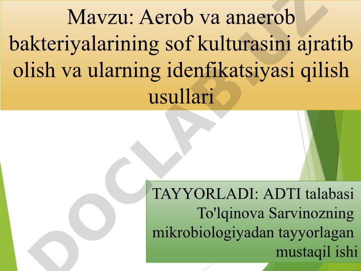 Aerob va anaerob bakteriyalarining sof kulturasini ajratib olish va ularning identifikatsiyasi qilish usullari