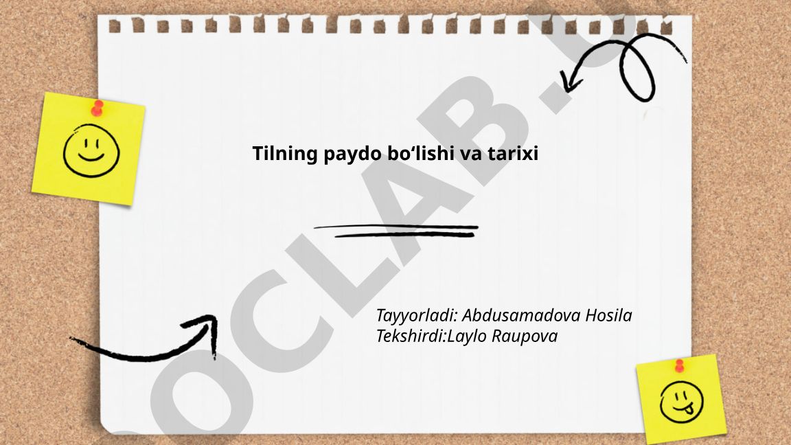 Tilning paydo boʻlishi va tarixi