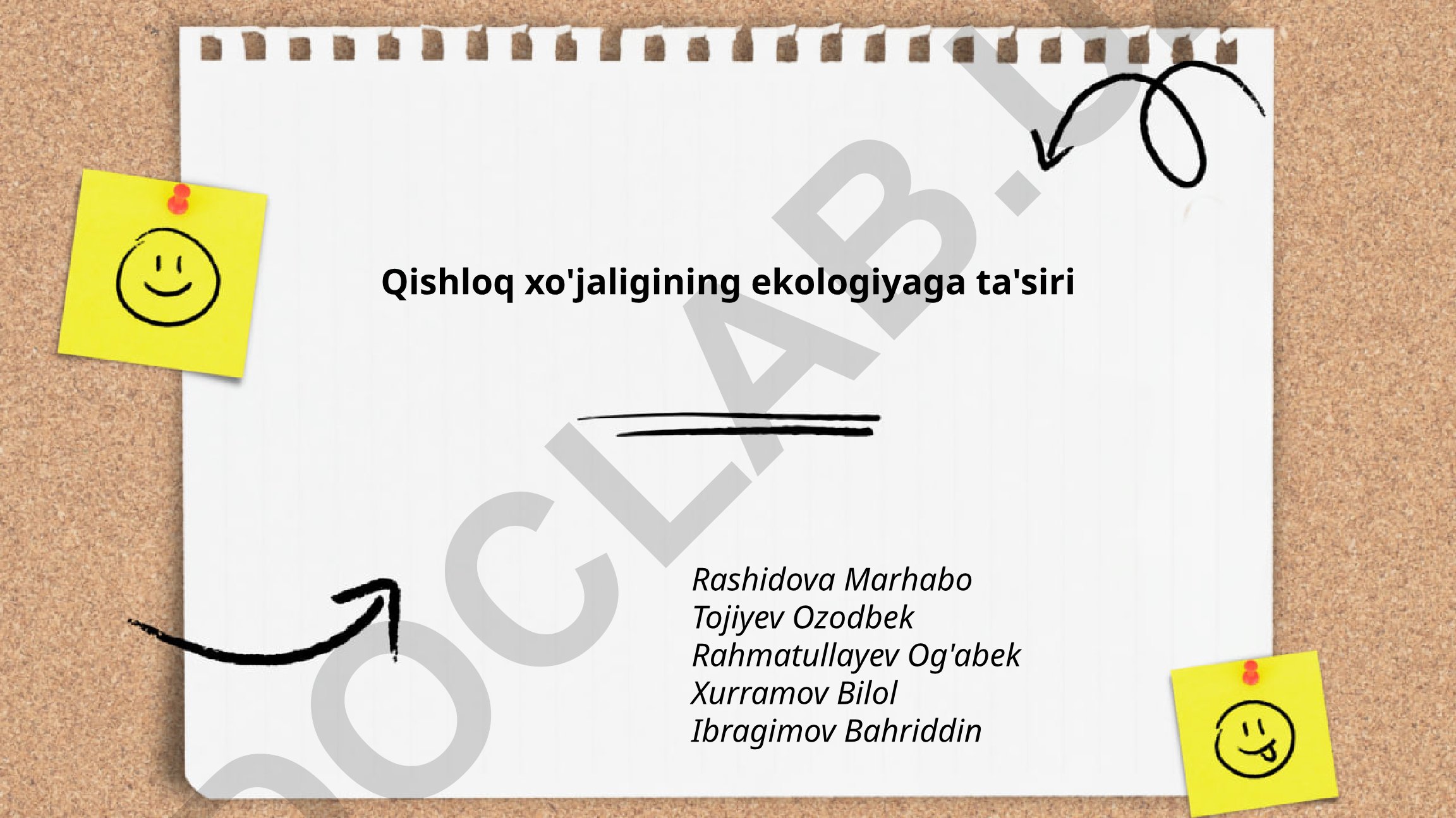 Qishloq xo'jaligining ekologiyaga ta'siri