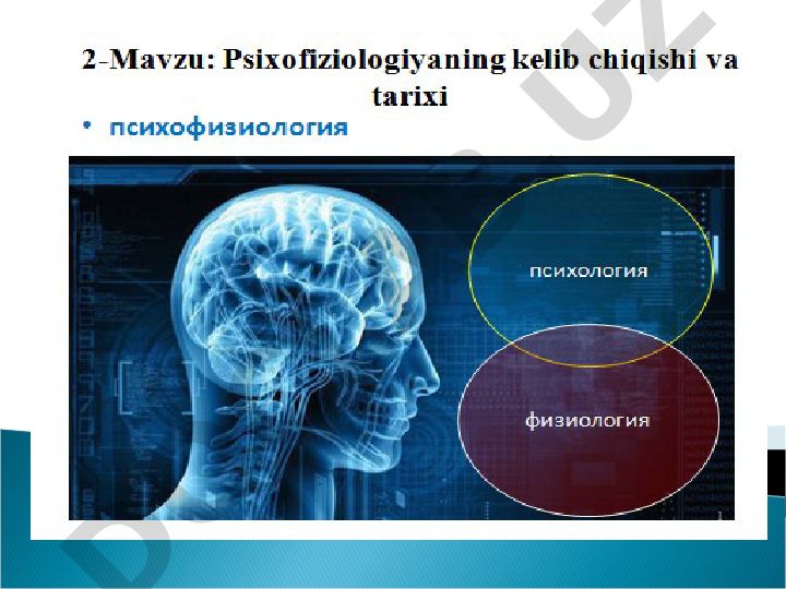 Psixofizyologiyaning rivojlanish tarixi va psixikaning fiziologik mexanizmlari