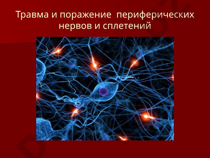 Травма и поражение периферических нервов и сплетений: классификация и периоды течения