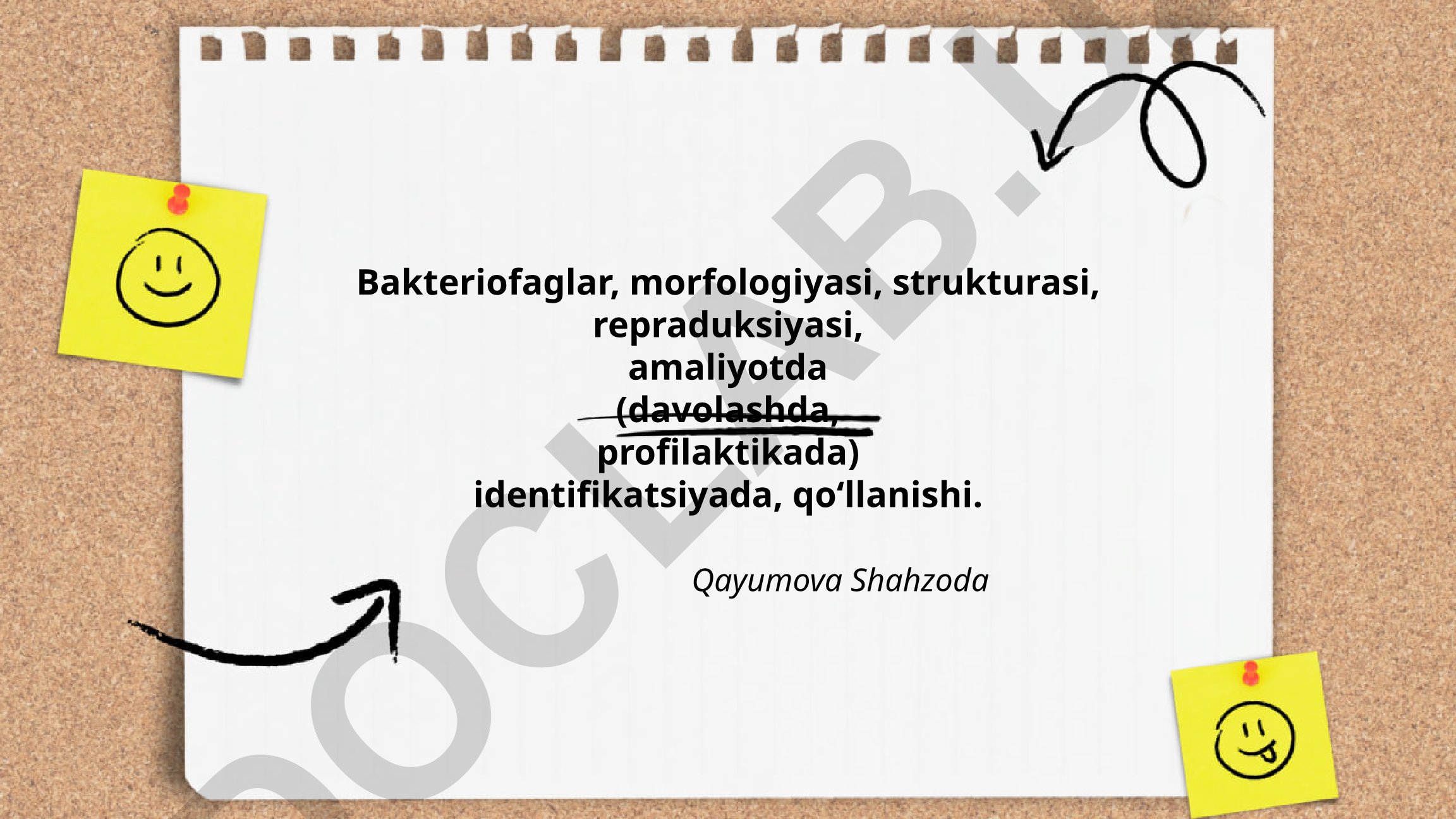 Bakteriofaglar: ta'rifi, turlari, morfologiyasi, strukturasi va amaliy qo'llanilishi