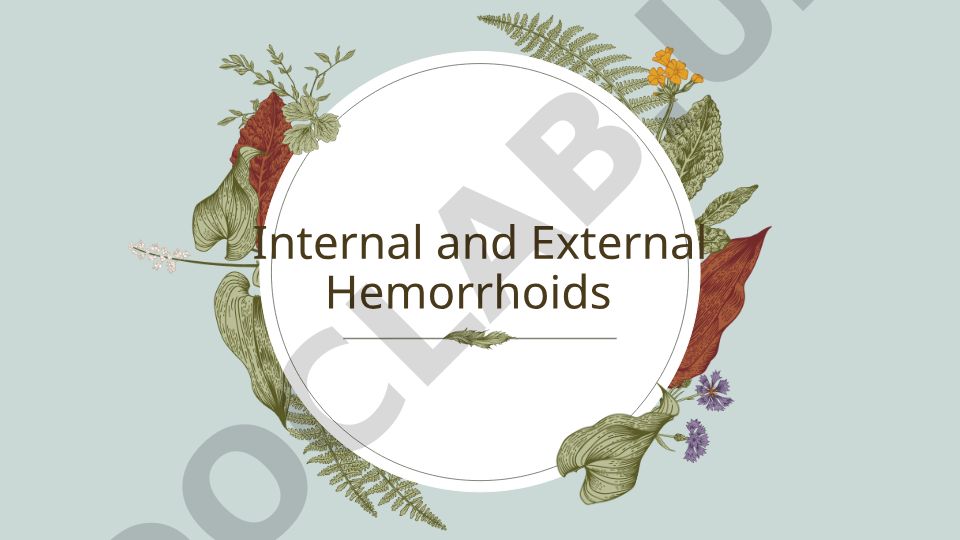 Internal and External Hemorrhoids: Anatomy, Causes, and Prevention