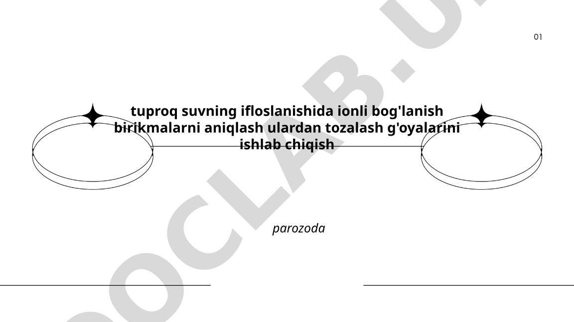 Tuproq va suvdagi ionli bog'lanishli birikmalarni aniqlash va tozalash