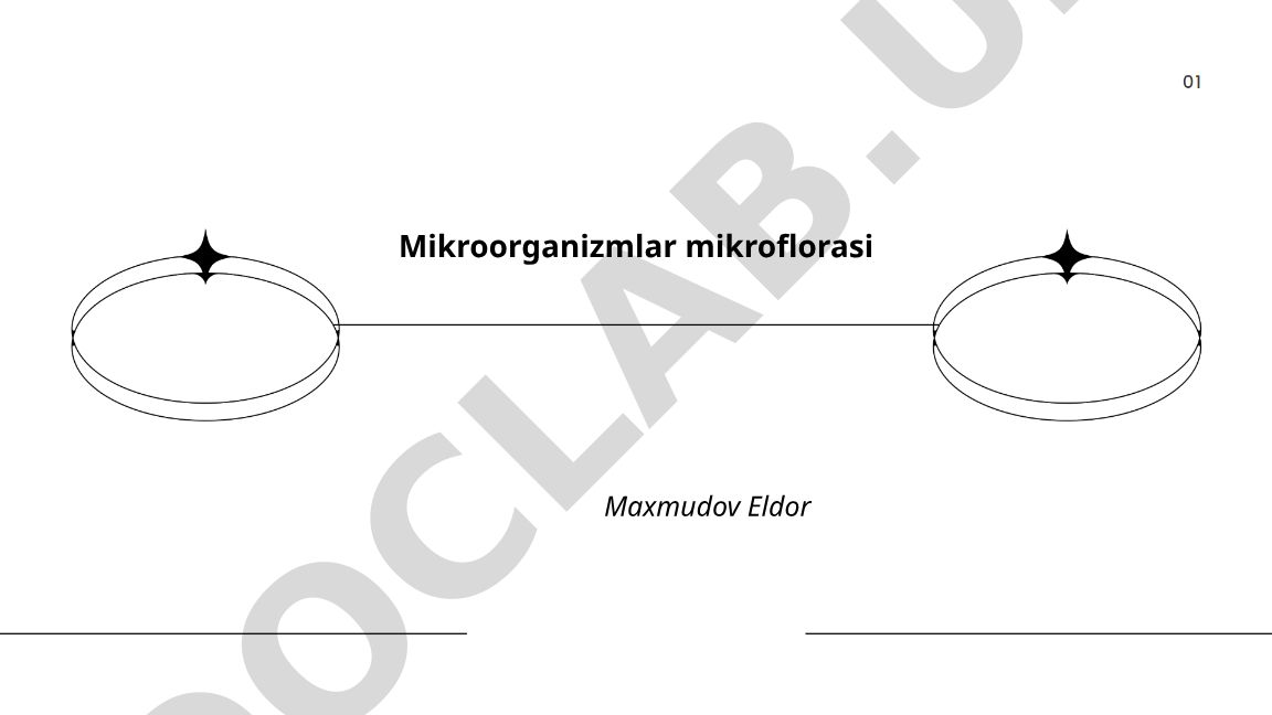 Mikroorganizmlar mikroflorasining ta'rifi va turlari