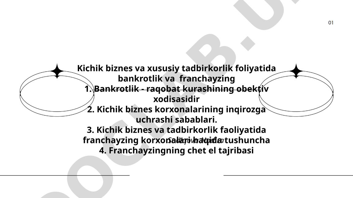 Kichik biznes va xususiy tadbirkorlikda bankrotlik va franchayzing